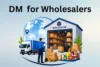Digital Marketing for Wholesalers - Grow Business Fast in 2026 - Post Thumbnail