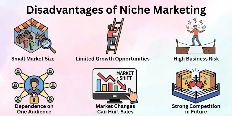 Disadvantages Of Niche Marketing