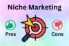 Advantages and Disadvantages of Niche Marketing: Pros vs Cons Guide - Post Thumbnail