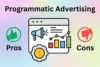 Pros and Cons of Programmatic Advertising + Full Guide - Post Thumbnail