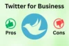 Advantages and Disadvantages of Using Twitter for Business - Post Thumbnail