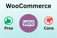 Pros and Cons of WooCommerce – Grow Your Store Now