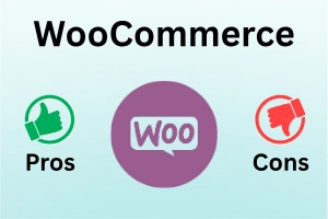 Pros and Cons of WooCommerce – Grow Your Store Now
