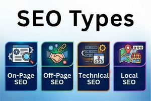 Beginner’s Guide to Types of SEO for Better Rankings